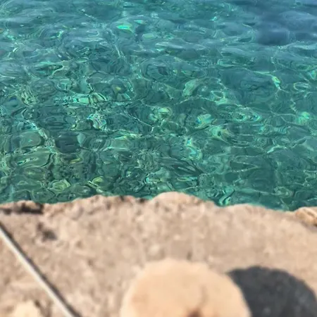 Lila Hvar - Sustainable Stone Cliff House Villa Gdinj